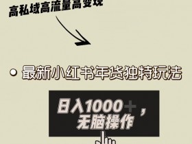 如何利用小红书笔记做引流推广，最佳策略与操作技巧