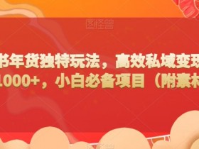 如何利用小红书笔记做引流推广，最佳策略与操作技巧