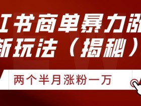 如何利用小红书笔记做引流推广，最佳策略与操作技巧