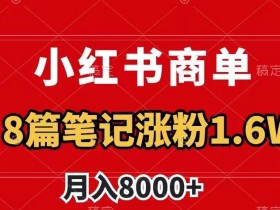 如何利用小红书笔记做引流推广，最佳策略与操作技巧