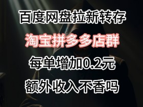 拼多多无人直播能长期做吗，项目稳定性的深度解析