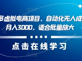 拼多多无人直播能长期做吗，项目稳定性的深度解析