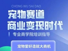 短视频运营的成本与收益分析，制定运营方案前必须知道的事