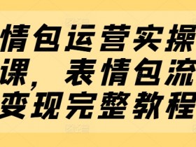 表情包项目背景怎么写，从趋势到可行性的深度分析