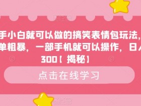 表情包项目是否适合小白，快速入门的操作指南