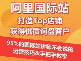 阿里巴巴国际站的行业现状如何，未来运营方向的深度解析