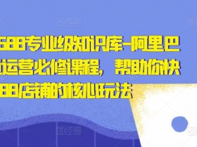 阿里巴巴国际站的行业现状如何，未来运营方向的深度解析