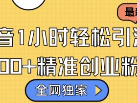 抖音社群如何实现IP化运营，从品牌打造到粉丝文化的进阶玩法
