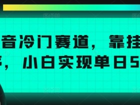 抖音带货轻松变现攻略，每天一小时实现稳定收益