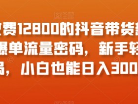 抖音带货达人如何推广冷门商品，抓住蓝海机会的玩法揭秘
