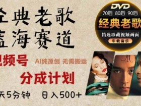 视频号分成计划冷门领域推荐，如何找到高潜力的创作赛道？