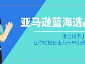 亚马逊运营全套教学资源分享，零基础也能快速上手