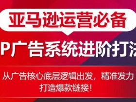亚马逊跨境电商未来趋势，小卖家如何在竞争中突围