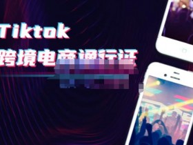 云博与迪拜跨境电商成功秘诀是什么，迪拜电商领先公司云博分析