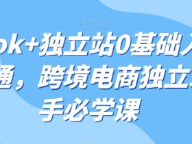 迪拜电商行业法规如何遵守，了解迪拜电商行业法规与政策
