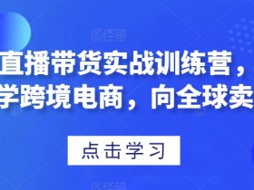 迪拜电商行业法规如何遵守，了解迪拜电商行业法规与政策