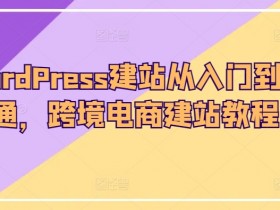 迪拜跨境电商物流服务如何选择，选择迪拜跨境电商物流服务