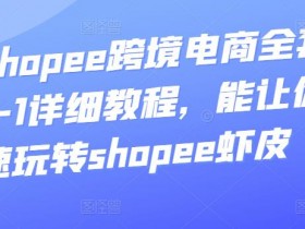 迪拜跨境电商物流服务如何选择，选择迪拜跨境电商物流服务