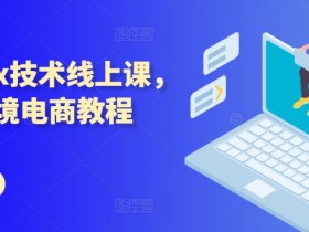 迪拜跨境电商物流服务如何选择，选择迪拜跨境电商物流服务
