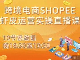 迪拜跨境电商平台选择如何做决策，如何选择最适合的迪拜电商平台