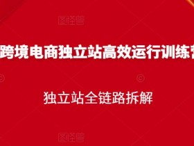 迪拜电商平台流量提升如何操作，提升迪拜电商平台流量的技巧