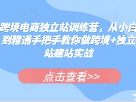 迪拜跨境电商市场动态如何把握，迪拜跨境电商市场动态分析