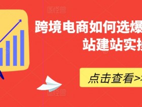 迪拜跨境电商最新政策如何应对，了解迪拜电商政策与市场机会