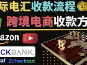 迪拜跨境电商最新政策如何应对，了解迪拜电商政策与市场机会