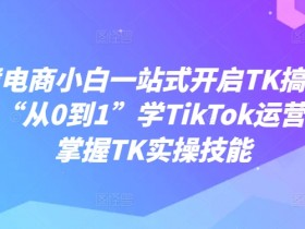 迪拜跨境电商最新政策如何应对，了解迪拜电商政策与市场机会