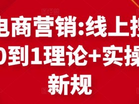 迪拜跨境电商项目如何获得投资，如何为迪拜电商项目融资