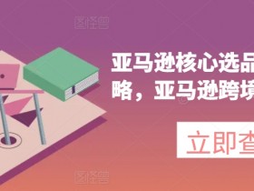 迪拜电商平台推广如何增加流量，提高迪拜电商平台流量的技巧