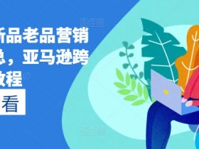 迪拜电商平台推广如何增加流量，提高迪拜电商平台流量的技巧