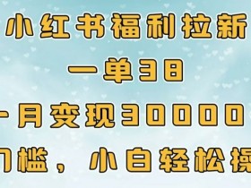 夸克拉新项目解析，了解夸克拉新项目的内容与参与方式