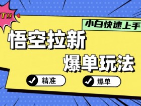 夸克拉新项目解析，了解夸克拉新项目的内容与参与方式
