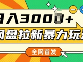 夸克拉新如何做营销，如何通过精确的营销策略赚取更多佣金