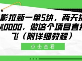 夸克拉新平台的数据分析与使用，通过数据分析优化推广效果