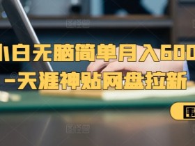 夸克拉新项目运营技巧，如何提高夸克拉新项目的运营效率