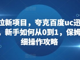 夸克拉新项目运营技巧，如何提高夸克拉新项目的运营效率