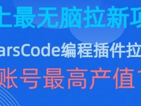 夸克拉新项目运营技巧，如何提高夸克拉新项目的运营效率