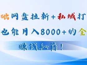 夸克拉新平台推广效果分析，评估不同平台推广效果的实用技巧