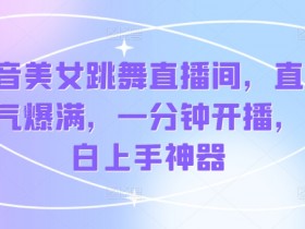 虚拟直播间如何设置，虚拟直播间设置的核心步骤与要点