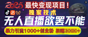 快手无人直播怎么操作教程，快速学习如何操作快手无人直播赚取收入