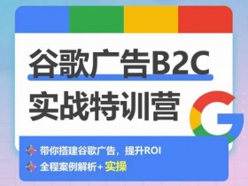 谷歌搜索广告详解，深入分析谷歌搜索广告的工作原理与投放机制
