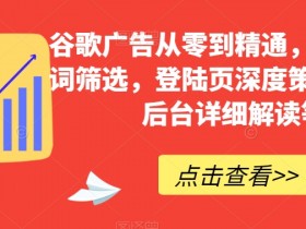 谷歌搜索广告详解，深入分析谷歌搜索广告的工作原理与投放机制