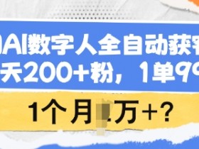 快手数字人带货的流量获取技巧，如何通过优化策略提升数字人带货的流量