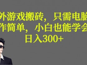 游戏搬砖项目操作中的常见问题，解决游戏搬砖操作中的常见问题与挑战