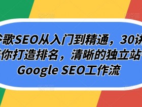 Googleseo算法解读理解Google SEO算法的关键因素，破解Google算法并优化SEO排名