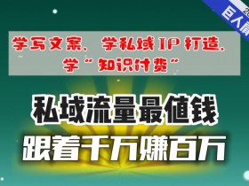 私域变现最新模式，2025年私域流量变现的最新模式及趋势