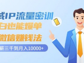 私域变现系统，如何构建私域变现系统，实现自动化盈利