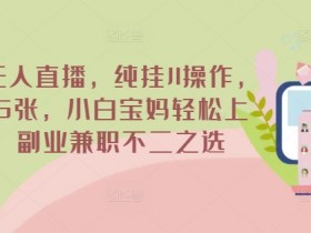 淘宝无人直播教程步骤，从准备到执行的完整流程